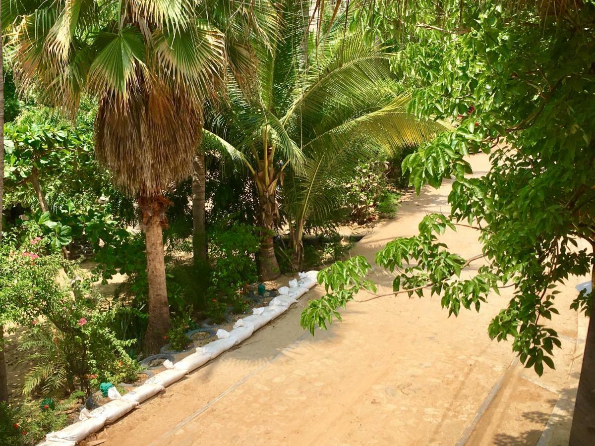 Hotel Rinconcito De Mazunte Santa Maria Tonameca Екстер'єр фото